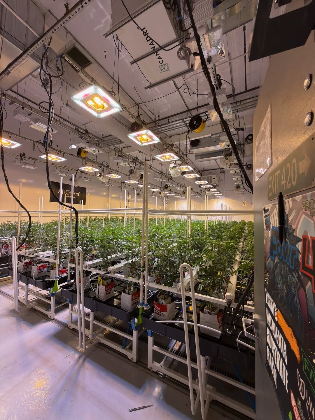 The Pre-Harvest Checklist: What to Fix Before Croptober, Not During It