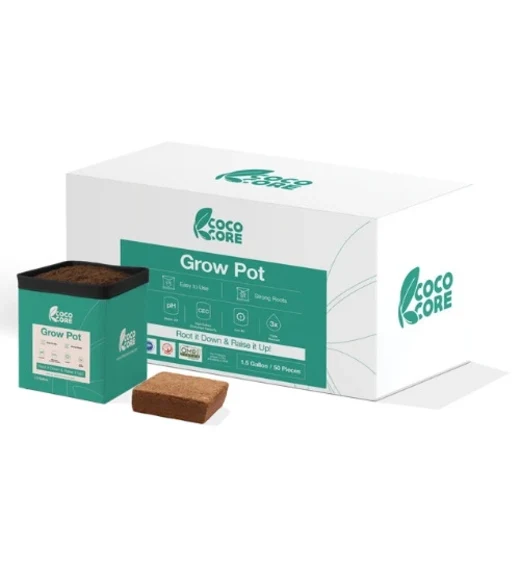 CocoCore 3/4 Gallon