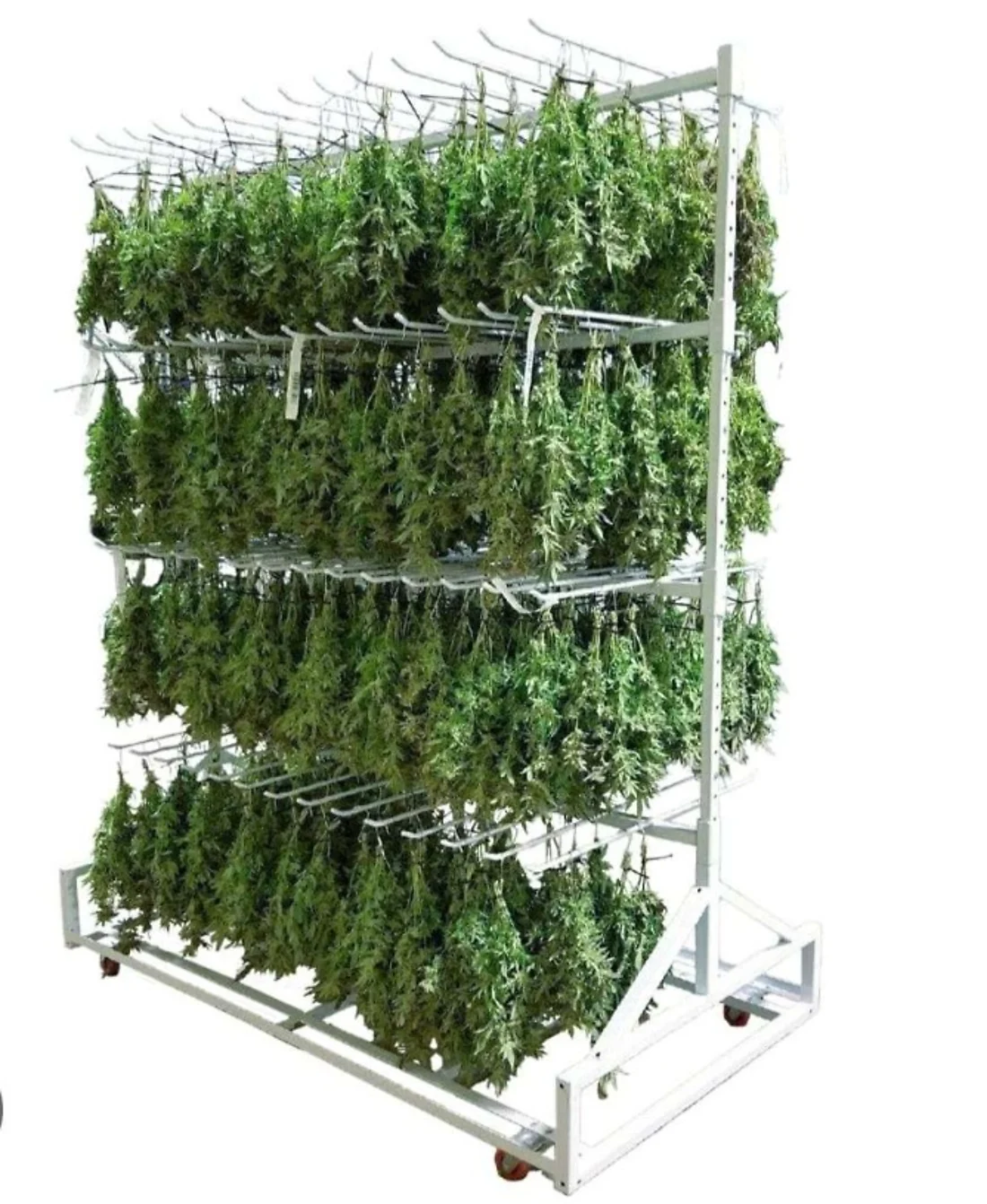 Cannabis dry racks