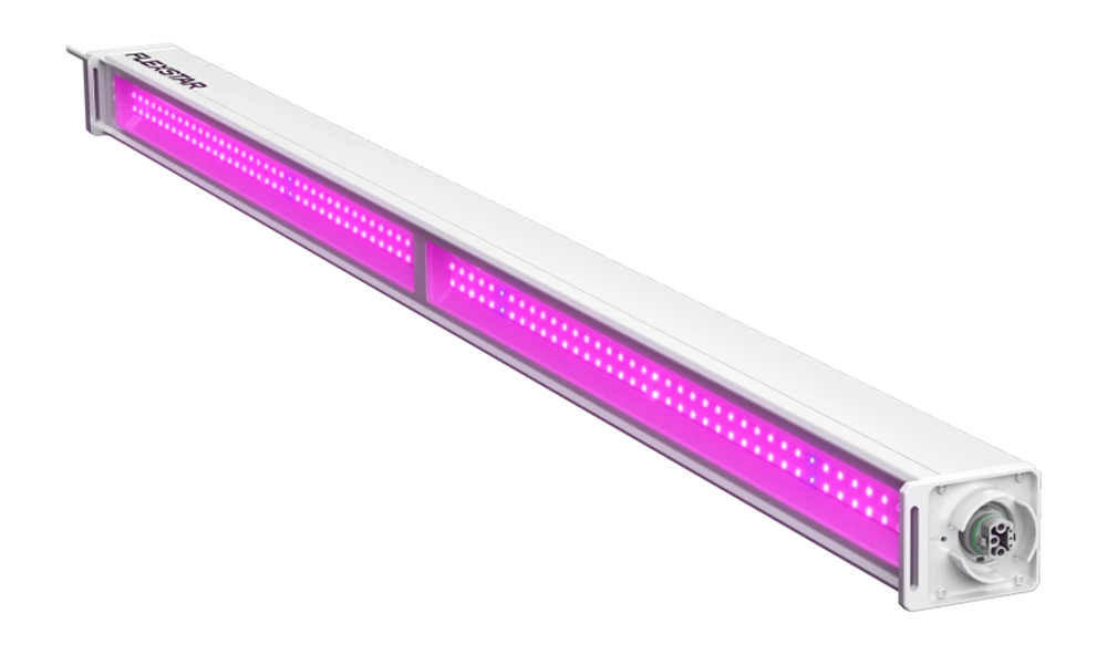 Flexstar Linear Top Light
