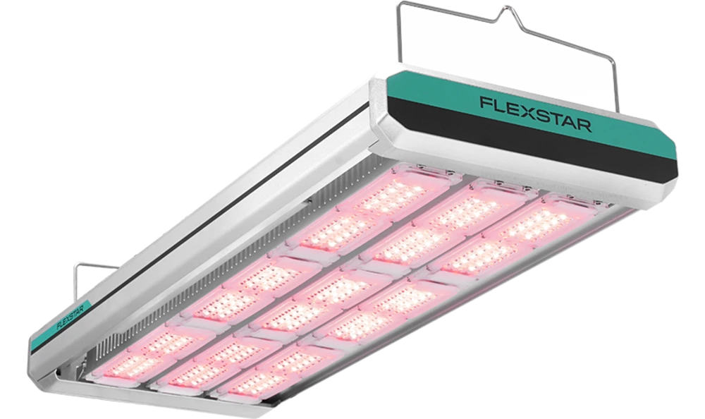 Flexstar 1200W Nova