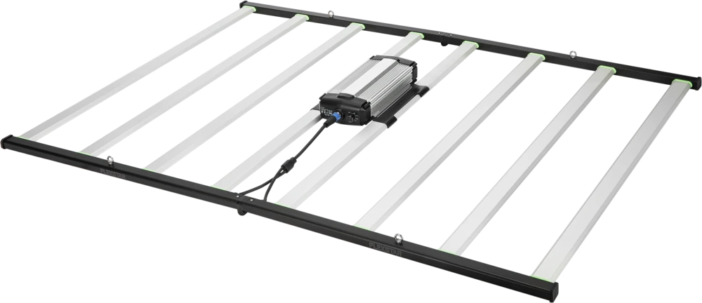 Flexstar Pro 800W