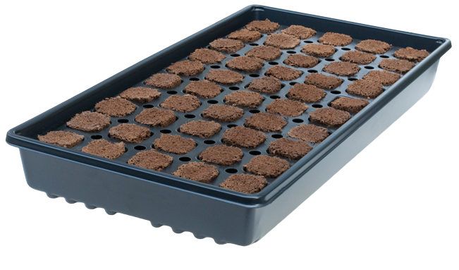 iHort Q Plug and Excel Plug propagation lineup