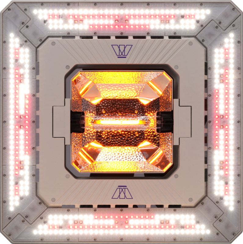 Matrix Hybrid 1000W Top View