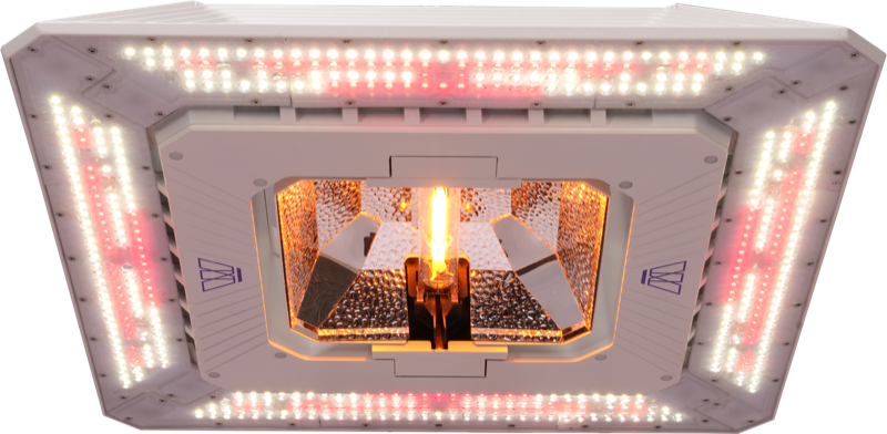 Matrix Hybrid 1000W Perspective