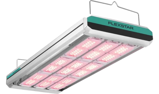 Flexstar Nova 1200W LED top light